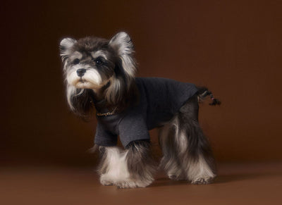 Camisa Interior Teddy Schnauzer - Diseño Elegante con Cuello de Dos Patas - Image 11