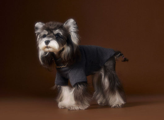 Camisa Interior Teddy Schnauzer - Diseño Elegante con Cuello de Dos Patas - Image 11