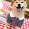 Ropa Protectora Tide para Mascotas