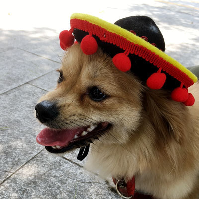 Sombreros de Perrito Hot Dog para Mascotas