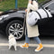 Transportín de Seguridad para Perros en Auto