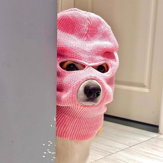 Gorro Creativo para Perro Corgi - Diadema Divertida para Mascotas - Image 2