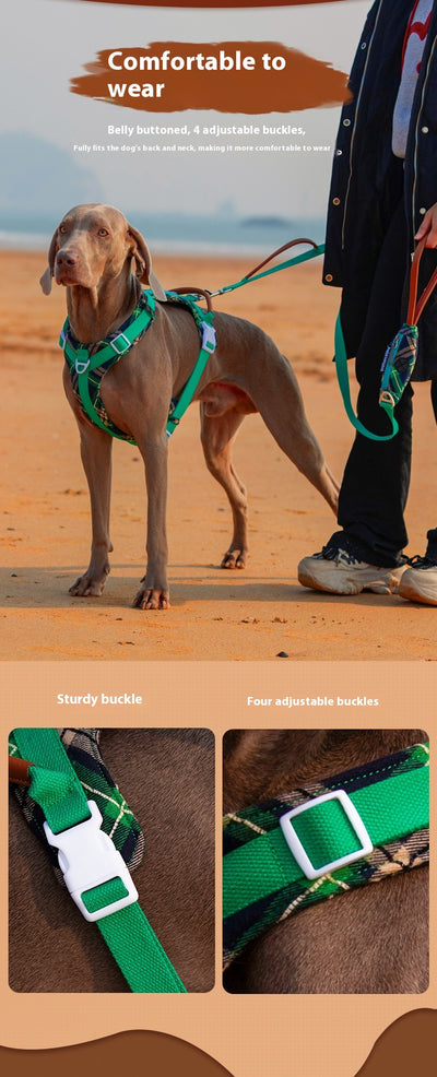 Arnés de Pecho para Perros con Correa de Fácil Colocación - Image 14