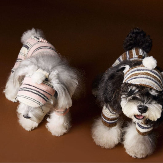 Gorro de Pelota Esponjosa a Rayas para Mascotas - Image 3