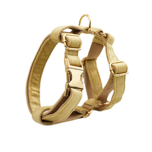 Collar de Terciopelo para Perro - Suave y Elegante - Image 18