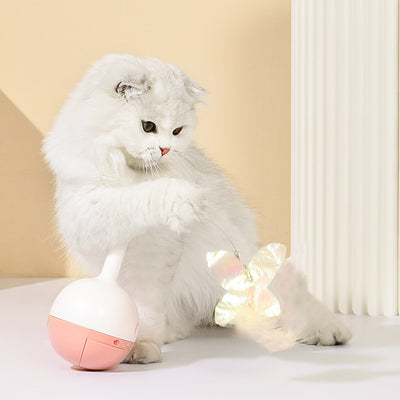 Juguete Interactivo Automático para Gatos con Temporizador y Recarga USB - Image 9