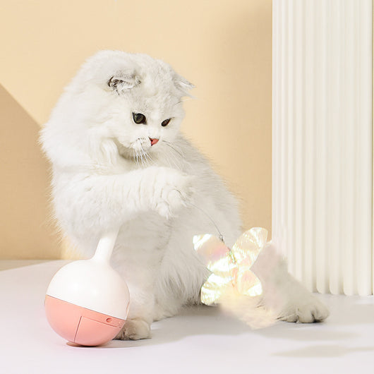 Juguete Interactivo Automático para Gatos con Temporizador y Recarga USB - Image 9