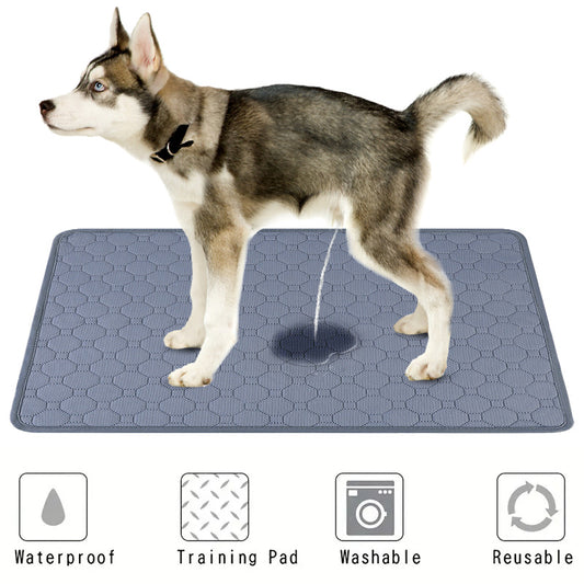 Tapete Absorbente Lavable para Mascotas - Protección de 4 Capas Impermeable