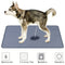Tapete Absorbente Lavable para Mascotas - Protección de 4 Capas Impermeable