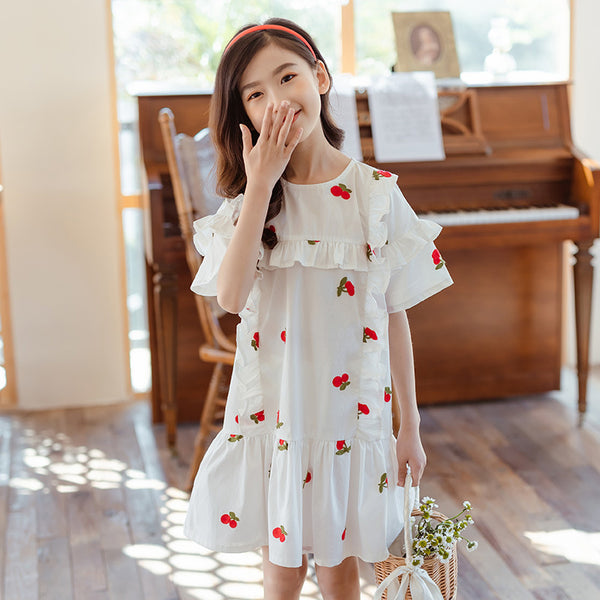 Vestido de Princesa Bordado para Niñas