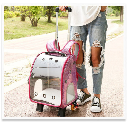 Mochila Transportadora Transparente Plegable para Perros Pequeños con Bolsillo Pañales - Image 22