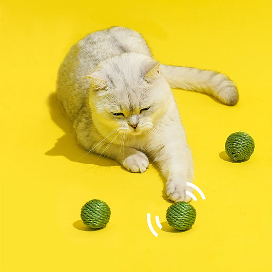 Set de 3 Pelotas Interactivas para Gatos con Cuerda de Sisal y Sonido Crujiente - Image 11