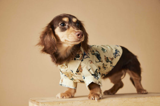 Playera Estampada con Razas de Perros - Dachshund, Schnauzer, Bichón y Maltés - Image 28