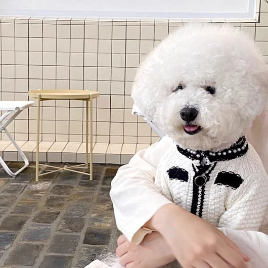 Suéter para Perro Estilo Coreano con Cuello de Perlas - Image 6