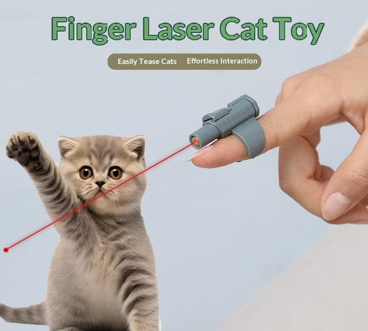 Juguete Interactivo Láser para Gatos con Varilla Anular - Image 10