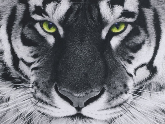 Tapete para Ratón con Diseño Gato Divertido - Image 23