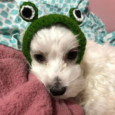 Gorro de Lana Tejido para Mascotas - Diadema Rana - Image 11