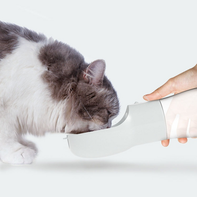 White and clear portable dog water dispenser with a built-in bowl and transparent water reservoir. - Image 26