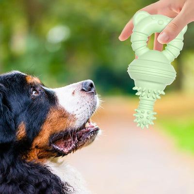 Juguete Masticable de Goma para Limpiar Dientes - Mordedor Resistente para Perros Grandes - Image 10