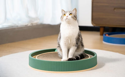 Rascador Grande de Cartón para Gatos con Juguetes - Protector de Muebles - Image 13