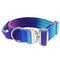 Blue Purple Gradient Collar M