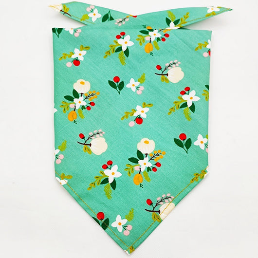 Pañuelo Bandana Absorbente para Mascotas con Diseño Frutal - Image 12