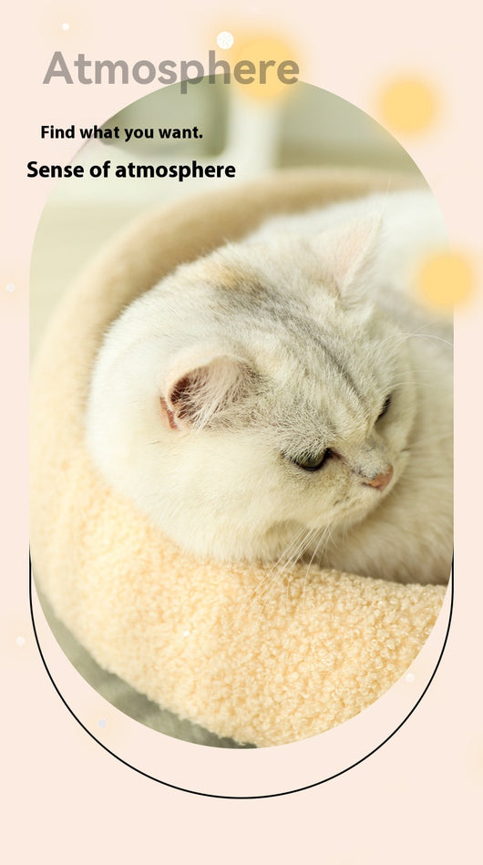 Sofá Rascador para Gatos con Sisal Integrado y Control de Caspa - Image 15