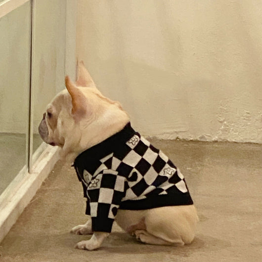 Suéter Invernal para Perros y Gatos - Diseño Schnauzer - Image 8