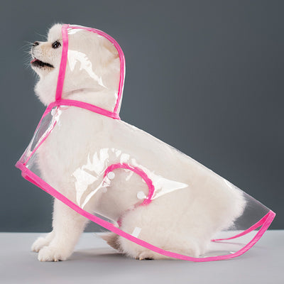 Impermeable Transparente para Perros - Image 8