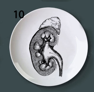 Placa Decorativa de Anatomía Ósea - Image 5