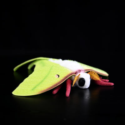 Peluche Polilla de Seda Verde - Juguete Coleccionable Realista - Image 8