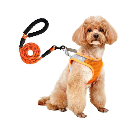 Small light brown poodle wearing an orange mesh dog vest harness with reflective trim and a retractable leash. - Image 16