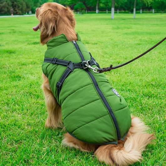 Abrigo Reflectante Impermeable para Perros Grandes - Chaleco Térmico Invierno - Image 4