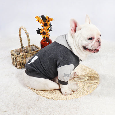 Suéter de Moda para Perros de Dos Patas - Image 5