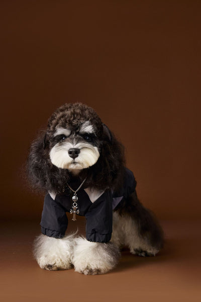 Ropa Deportiva Otoñal para Perros Macho - Diseño Elegante y Funcional - Image 14