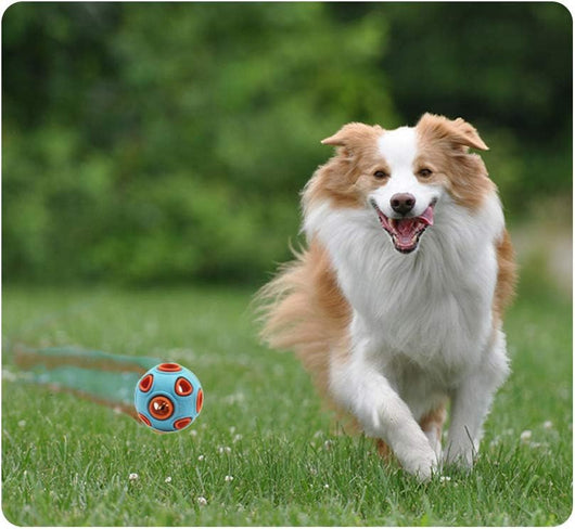 Pelota Interactiva para Perros con Sonido y Campana - Juguete Resistente para Masticar - Image 15