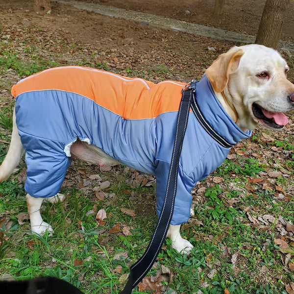 Abrigo de Algodón para Perros Golden Retriever y Razas Medianas