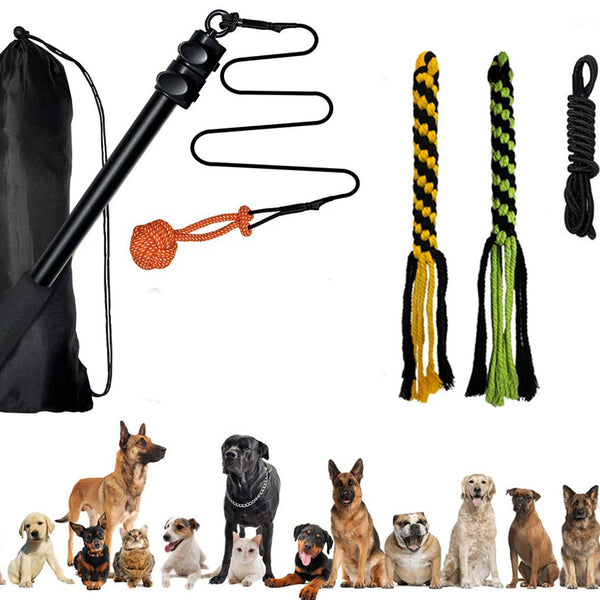 Juguete Vara Retráctil para Perros - Juego Interactivo