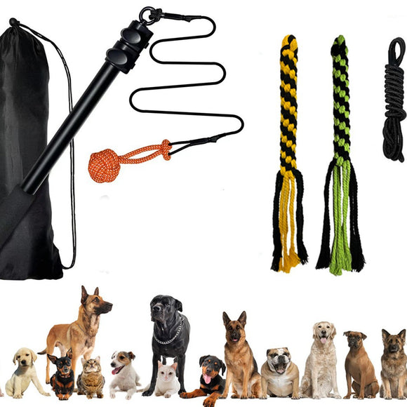 Juguete Vara Retráctil para Perros - Juego Interactivo