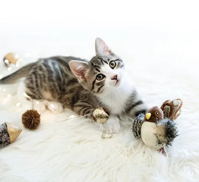 Juguete Interactivo para Gatos con Pájaro Eléctrico Chirriante y Catnip - Image 8