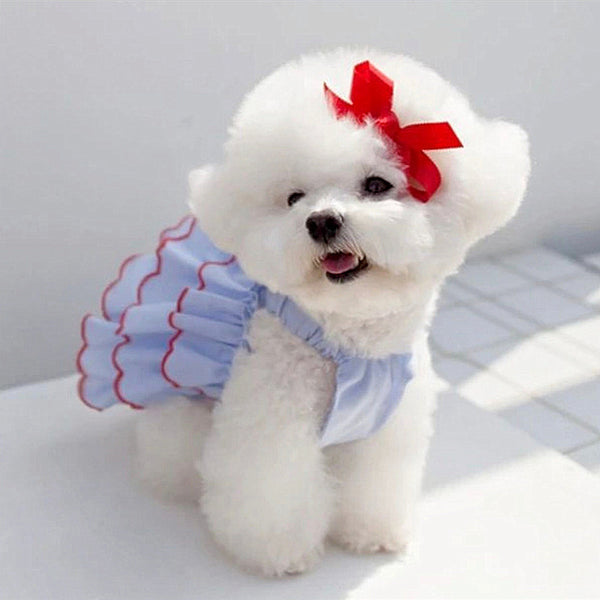 Vestido Princesa Ligero para Mascota - Colección Verano