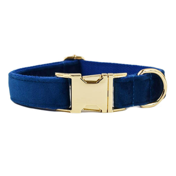 Collar Velvet para Mascota con Cuerda de Tracción