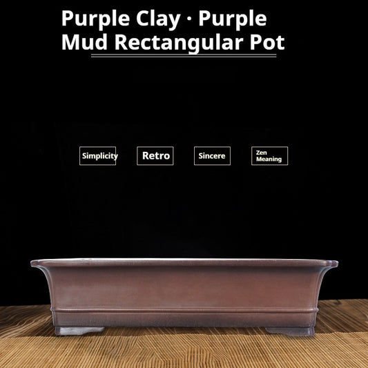Maceta Rectangular de Arcilla Púrpura Artesanal para Bonsái Verde