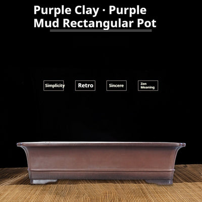 Maceta Rectangular de Arcilla Púrpura Artesanal para Bonsái Verde
