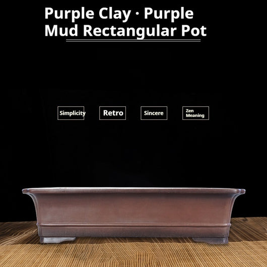 Maceta Rectangular de Arcilla Púrpura Artesanal para Bonsái Verde