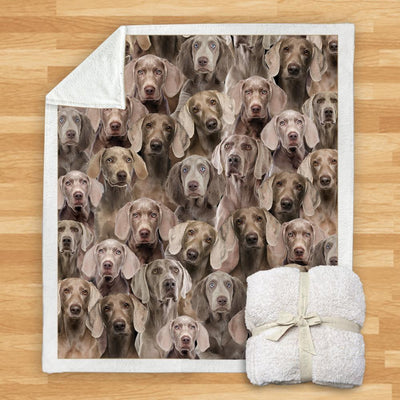 Manta de Franela Estampada para Perros de Diseño Moderno - Image 82