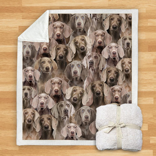 Manta de Franela Estampada para Perros de Diseño Moderno - Image 82