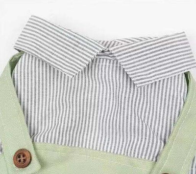 Ropa Ligera para Mascotas - Abrigo Primavera y Otoño para Perros y Gatos - Image 12