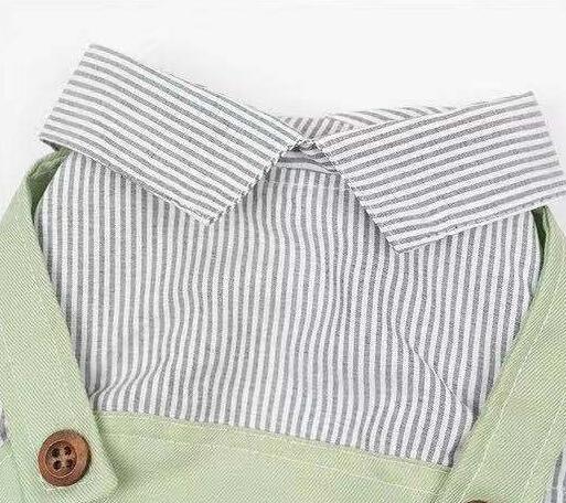 Ropa Ligera para Mascotas - Abrigo Primavera y Otoño para Perros y Gatos - Image 12