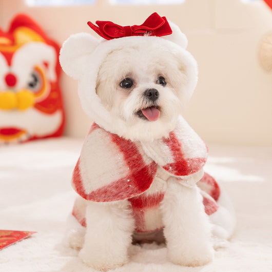 Vestido Navideño Cálido para Perro Bichón - Ropa de Invierno para Mascotas - Image 33